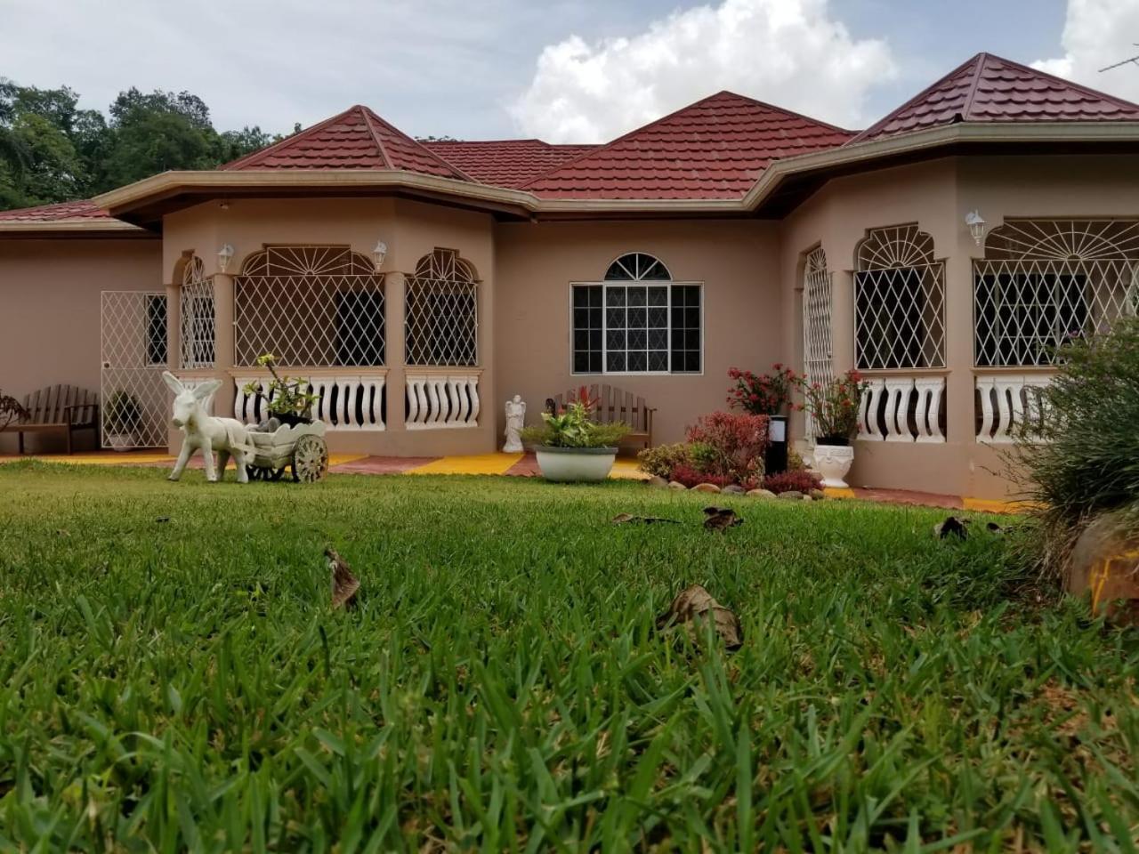 Villa Cliffe Ranch à Mandeville Extérieur photo
