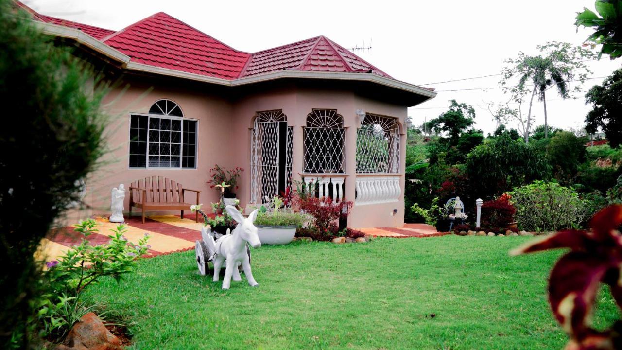 Villa Cliffe Ranch à Mandeville Extérieur photo